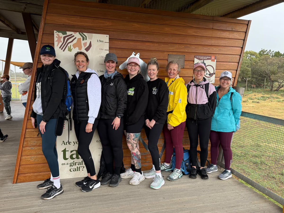 Eight House Mates lined up together at Monarto Zoo after their trail run